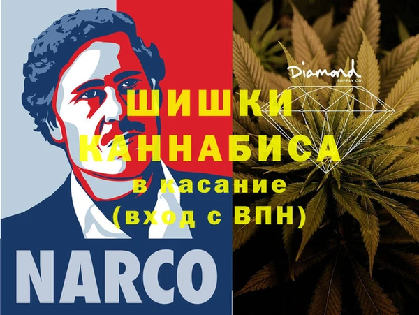 сатива Санкт-Петербург