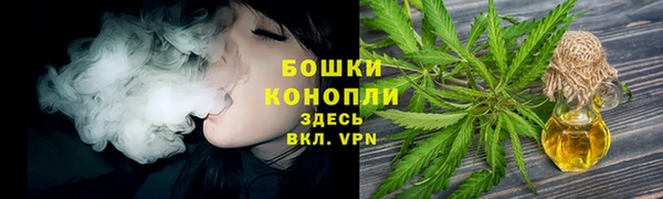 стаф Ростов