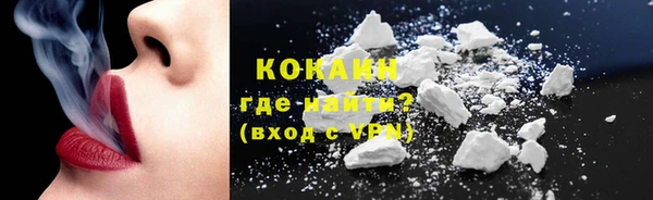 крисы Абаза