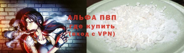 стаф Ростов