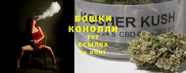 молекула духа Дмитровск