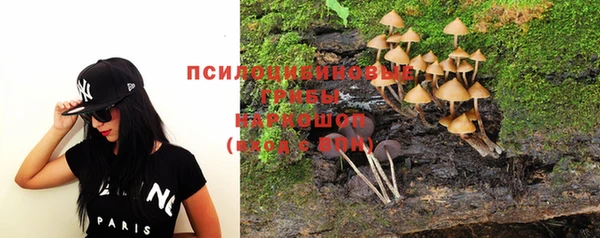 хмурый Абинск