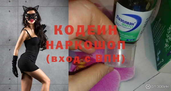 крисы Абаза