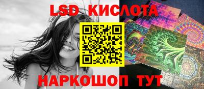 дмт Камышлов