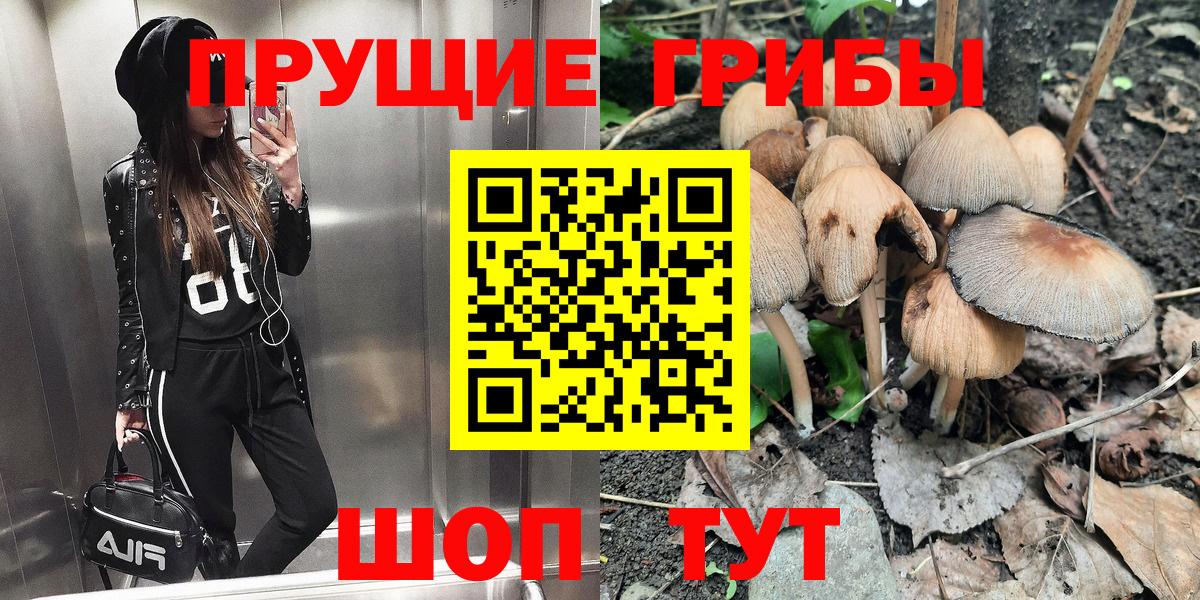 Псилоцибиновые грибы прущие грибы Лосино-Петровский